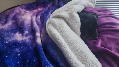 Out of this world Cozy