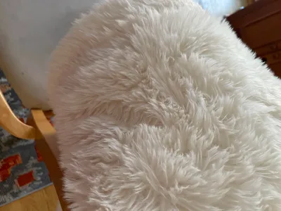 Perfect Snowy Blanket for Snowy Days
