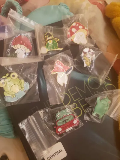 Kitty stickers and Frog/Toadstool pins.