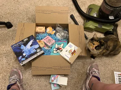 Love my box and kitty does too