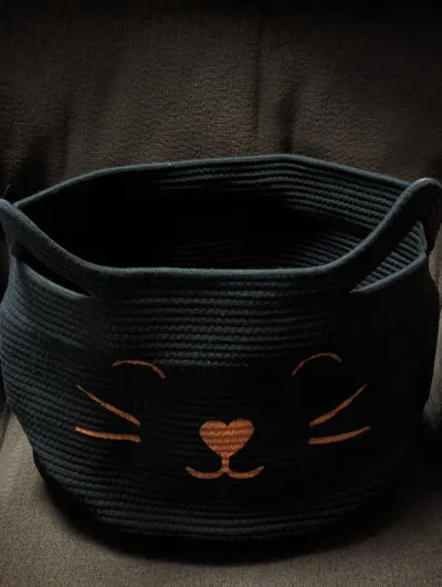Adorable black cat basket! 