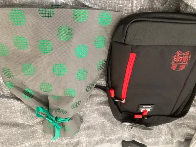 Sith Loungefly Bag & Extras