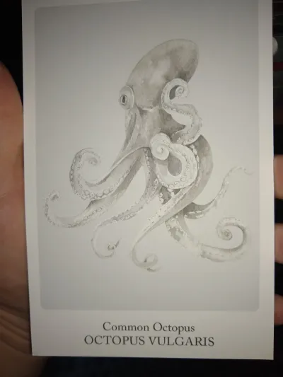 Gorgeous Sea Beast Postcards!