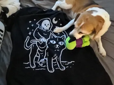 Spooky Beagle and Cat fun!