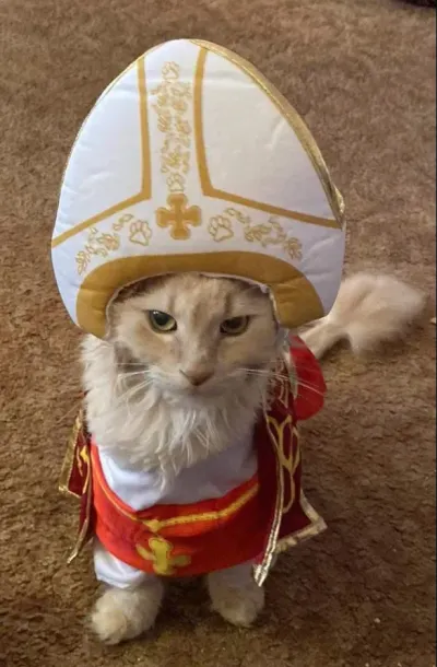 Pope Cat