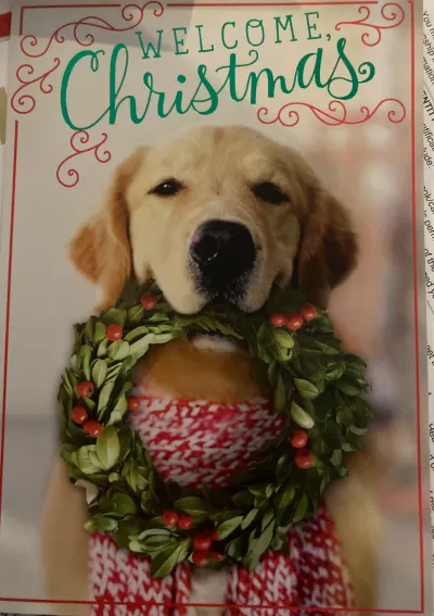 Cute Doggo Christmas Card