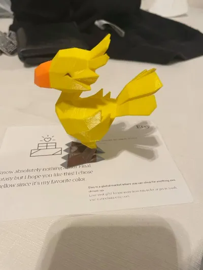Thank you for the adorable Chocobo!
