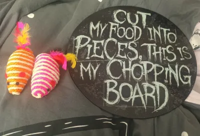 Punny Chopping Board And Toys For The Cattos
