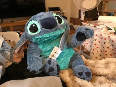 A beautiful Stitch!