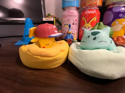 Sleeping Pokémon and snacks