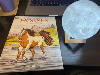 Moonlight for my horses