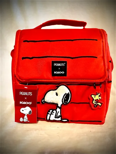 Snoopy Gift