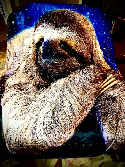 Sloth Love 