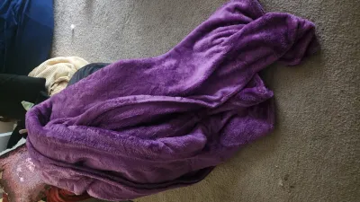 The best blanket 