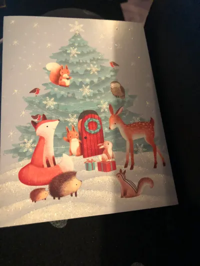 Christmas Card Surprise