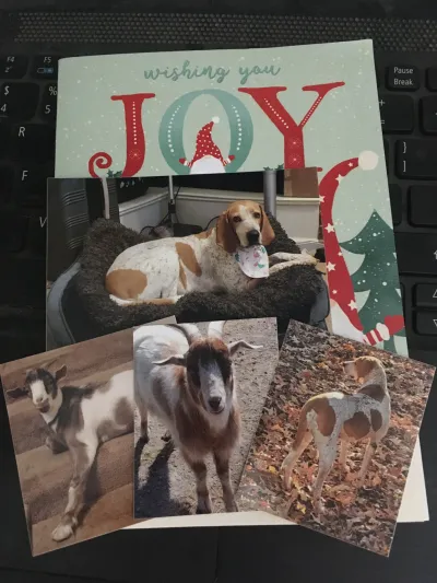 Personal card with puppies and goats!