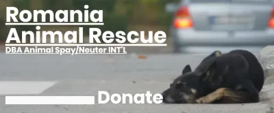 Romania Animal Rescue