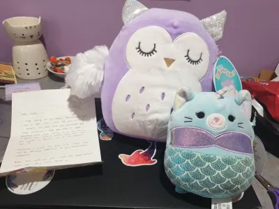 Owl and Mermaid squishmallows!