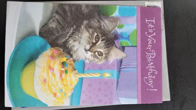An adorable cat card! 