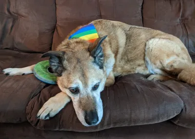 Sameen is ready for Pride