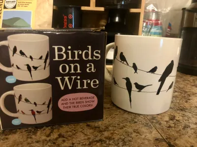 Awesome birds on a wire mug