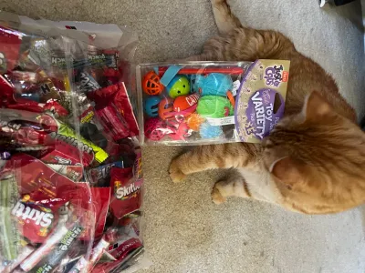 Treats for all!